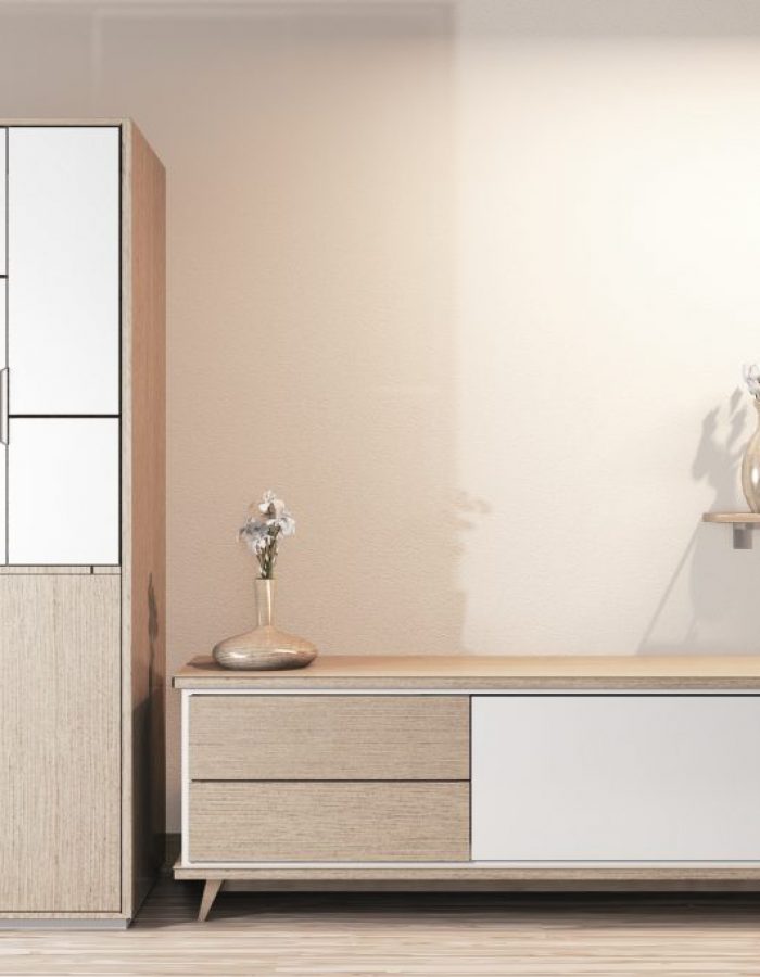 wardrobe-wooden-design-cabinet-tv-wooden-japanese-design-room-minimal-interior-1024×683